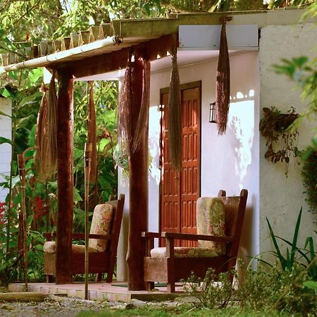 Casa A Beira Do Rio Jaguareguava Na Mata Atlantica Em Bertioga Sp Villa Exterior photo
