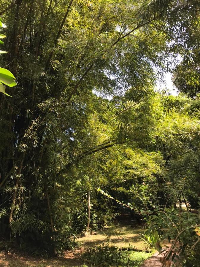 Casa A Beira Do Rio Jaguareguava Na Mata Atlantica Em Bertioga Sp Villa Exterior photo