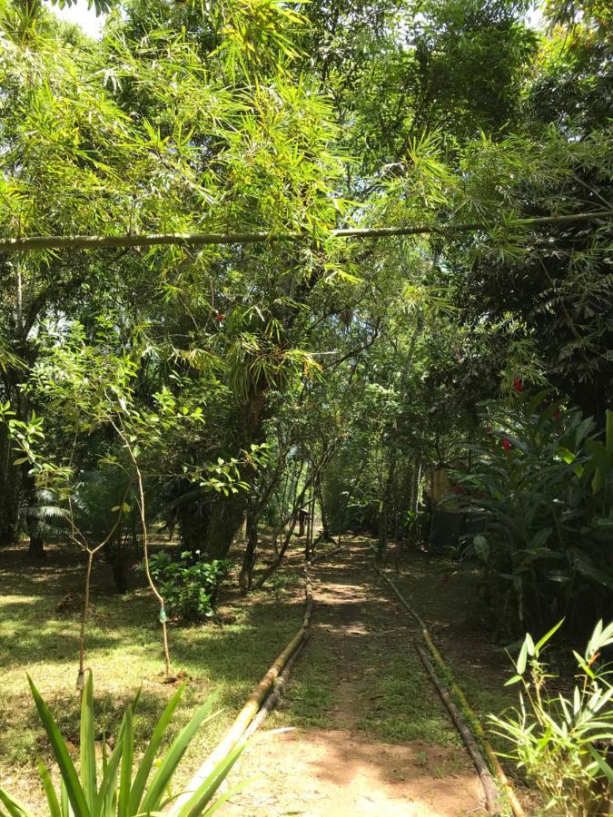 Casa A Beira Do Rio Jaguareguava Na Mata Atlantica Em Bertioga Sp Villa Exterior photo