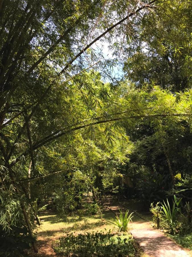 Casa A Beira Do Rio Jaguareguava Na Mata Atlantica Em Bertioga Sp Villa Exterior photo